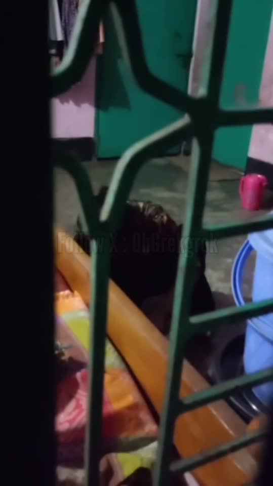 Ngtp pasutri tetangga Ngwe di samping - vidxlr.top