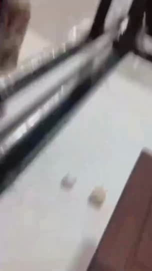 OCHI BERLIAN NGAPAIN DI BELAKANG PINTU - DoodStream - DoodStream