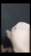 Bokep Indo Jilbab Cantik Ngentot Dikantor - BokepBocil-Bokep Indo Jilbab Ca