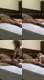 MAMI ITHA ML DI HOTEL