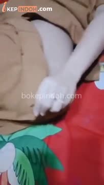 Bokep Indo Viral Ukhty Hijab Coklat Kena Doggy