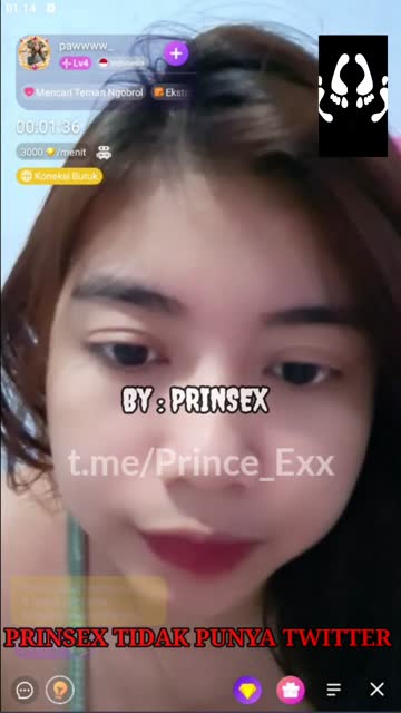 Vcs Paww apk Chamet 