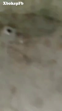 Kolam Renang 3 - DoodStream.mp4