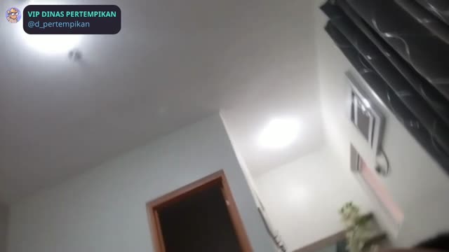 1_5107630620855501888.mp4