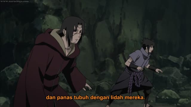 Naruto Shippuden — Ep 334.mp4