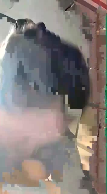 Gina Hijab Tiktok Tobrut 19 - [ Telegram @GalleryKuVIP ]