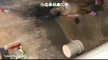lv_0_20250102093953.mp4