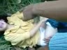 grebek orang kesempatan dalam kesempitan .mp4