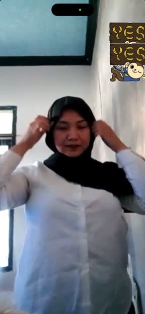 hjb vcs.mp4