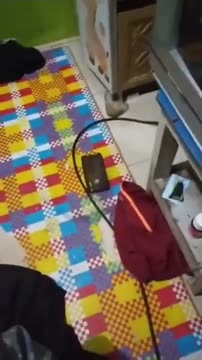 5_6120440164733949357.mp4
