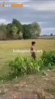 Bokep Indo Prank Ajak Ngewe Petani Lokal - Mbokepindo.com-Bokep Indo Prank .mp4