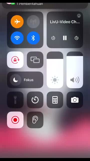 Watch vcs rose.mp4