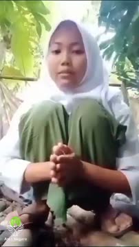 esmph sy0lmex smpe bnjir.mp4