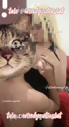 VID_20261008_215035_819.mp4
