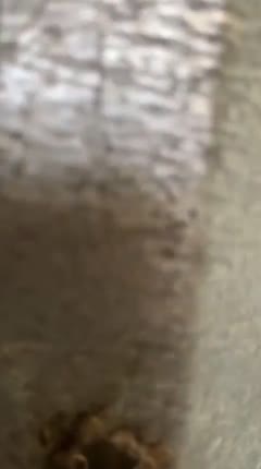 Kolam Renang 29.mp4