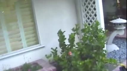 EPORNER.COM - [ChZAcp4Esgt] Ai Enhancement Required 12 (480).mp4