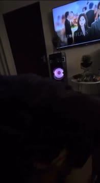 ayam kampus toge.mp4
