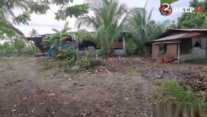Bokep Indo - Nekat Di Depan Rumah Biar Tetangga Liat | Bokep31