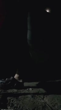 331494.mp4