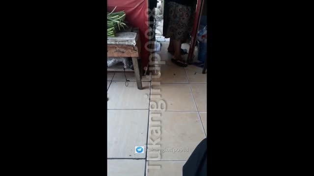5 6102699325576448499 - DoodStream.mp4