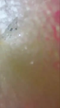 Babyfe paling hot transparan uting kliatan