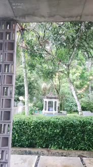 SIKAKA CANTIK LIVESHOW BARBAR DI TOILET TAMAN
