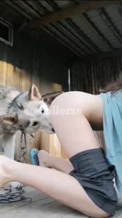 abege cantik main sm Dogy di kebon.mp4
