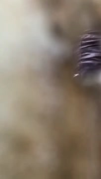 NGINTIP MAMA teman LAGI MANDI BRA MINTA DIGANT.mp4