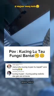siapa yang punya kucing mujaer, cung tangan kalian☝????☝???? #shorts #cat - ⌑ Teman ngobrol (360p, h264).mp4