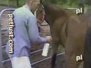 Gay man indulges in horse sex in bestiality video.mp4