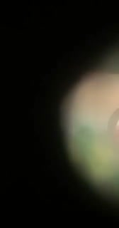 ssstwitter.com_1756552872726.mp4
