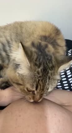 video_2025-08-15_02-33-11.mp4