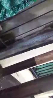 5_6075722489961388298.mp4
