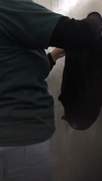 Kolam Renang 46.mp4