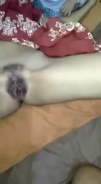Ngentot janda di samping - vidxlr.top