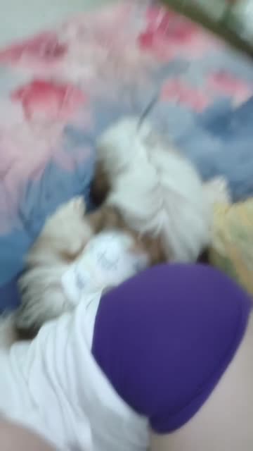 video_2026-10-07_03-29-34.mp4