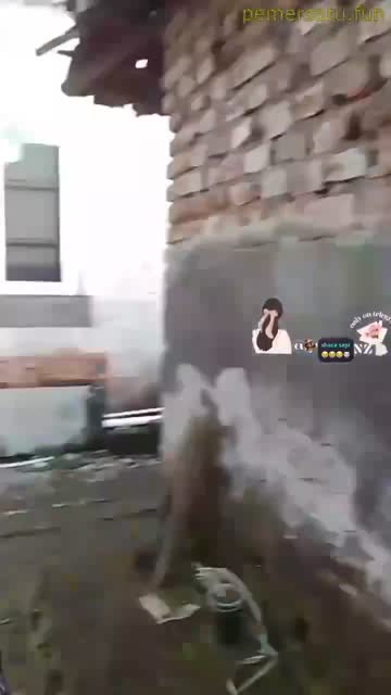 330884.mp4.mp4
