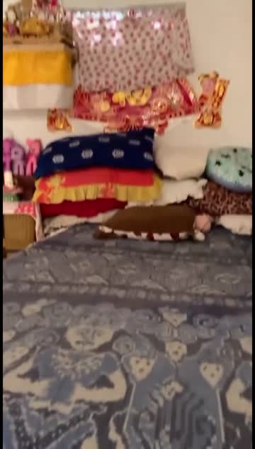 Binor kerja sampinga.mp4