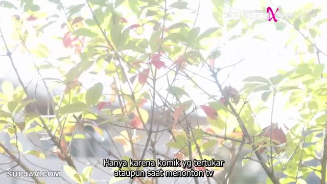 START-301 - Tele @kucingjapann - Bertahun-tahun tidak berbicara, kakak perempuan yang tidak peduli dengan pena... - Mei Miyajima.mp4