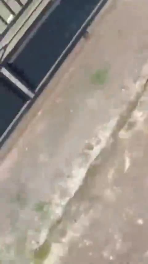 Yg lagi viral penggrebakan perngentotan.mp4