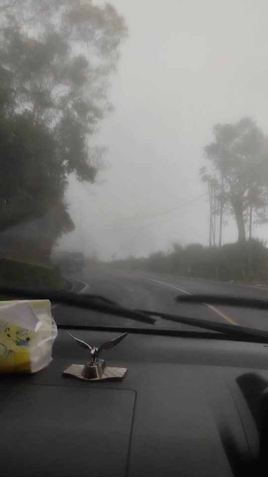 lv_0_20251229221140.mp4