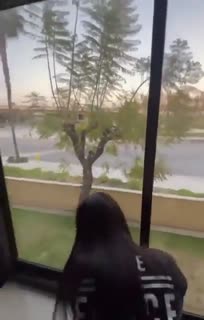 ssstwitter.com_1755503599229.mp4