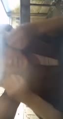 grepe ayang di saung