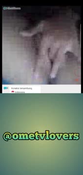 OMETV- MEMEK TEMBEM TOKET BULET