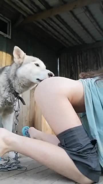 1000229362.mp4