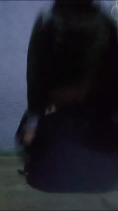 Telegram @OnlyLokalll (14).mp4