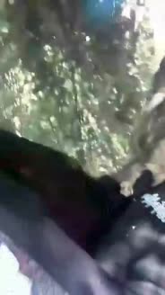 bocah smp ngewe di hutan - vidxlr.top