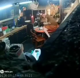 Biksu yang lagi viral.mp4