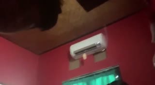 Isti Ngewe Di Kamar Gorden Hijau