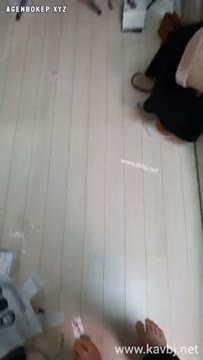 334024.mp4